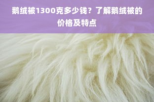 鹅绒被1300克多少钱？了解鹅绒被的价格及特点