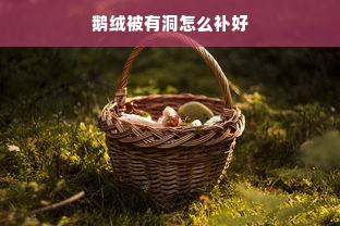 鹅绒被有洞怎么补好