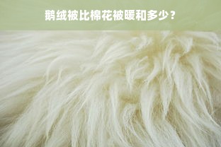 鹅绒被比棉花被暖和多少？