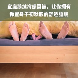 宜庭鹅绒冷感夏被，让你拥有像置身于初秋般的舒适睡眠