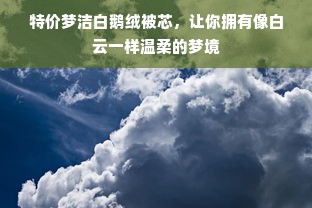 特价梦洁白鹅绒被芯，让你拥有像白云一样温柔的梦境