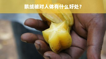 鹅绒被对人体有什么好处？