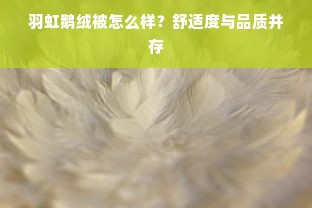 羽虹鹅绒被怎么样？舒适度与品质并存