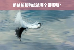 鹅绒被和鸭绒被哪个更暖和？