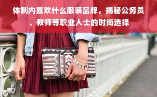 体制内喜欢什么服装品牌，揭秘公务员、教师等职业人士的时尚选择