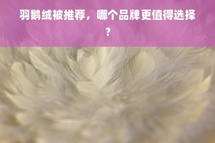 羽鹅绒被推荐，哪个品牌更值得选择？