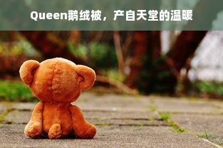 Queen鹅绒被，产自天堂的温暖