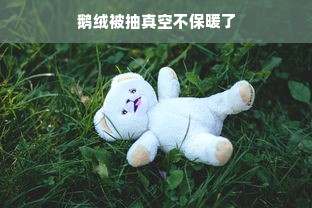 鹅绒被抽真空不保暖了