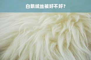 白鹅绒丝被好不好？