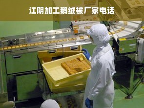 江阴加工鹅绒被厂家电话