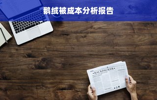 鹅绒被成本分析报告