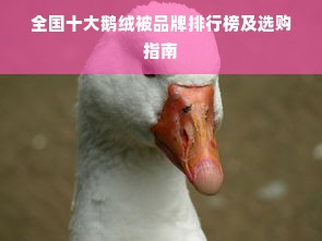 全国十大鹅绒被品牌排行榜及选购指南