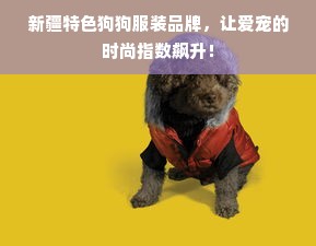 新疆特色狗狗服装品牌，让爱宠的时尚指数飙升！