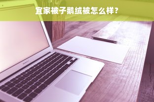 宜家被子鹅绒被怎么样？