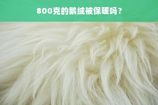 800克的鹅绒被保暖吗？