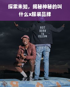 探索未知，揭秘神秘的叫什么x服装品牌