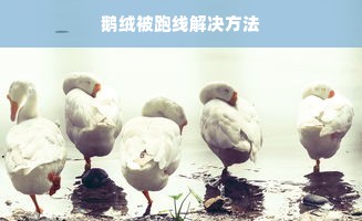 鹅绒被跑线解决方法