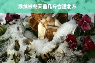 鹅绒被冬天盖几斤合适北方