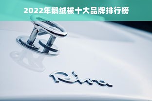 2022年鹅绒被十大品牌排行榜