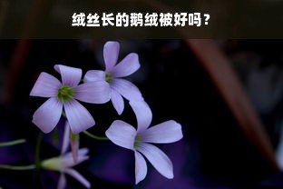 绒丝长的鹅绒被好吗？