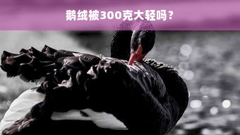 鹅绒被300克大轻吗？