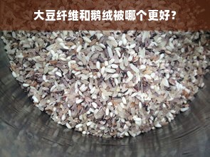 大豆纤维和鹅绒被哪个更好？