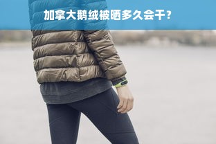 加拿大鹅绒被晒多久会干？