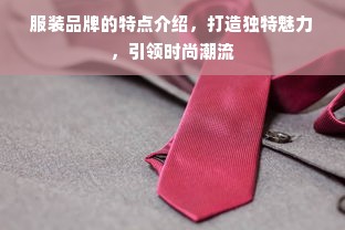 服装品牌的特点介绍，打造独特魅力，引领时尚潮流