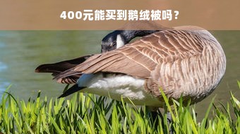 400元能买到鹅绒被吗？