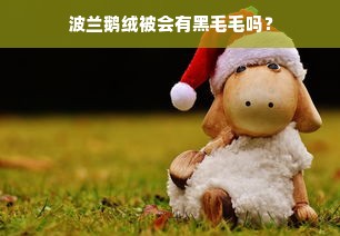 波兰鹅绒被会有黑毛毛吗？