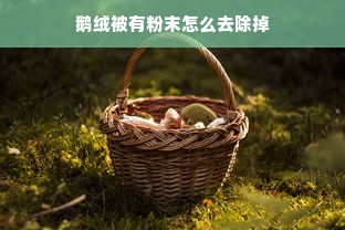 鹅绒被有粉末怎么去除掉