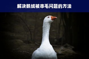 解决鹅绒被串毛问题的方法