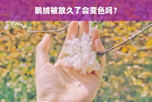 鹅绒被放久了会变色吗？