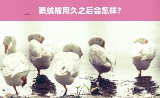 鹅绒被用久之后会怎样？