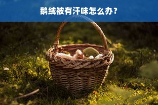 鹅绒被有汗味怎么办？