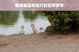 鹅绒被蓬松技巧的视频教学