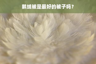 鹅绒被是最好的被子吗？