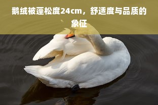 鹅绒被蓬松度24cm，舒适度与品质的象征