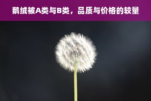 鹅绒被A类与B类，品质与价格的较量