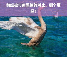 鹅绒被与新疆棉的对比，哪个更好？