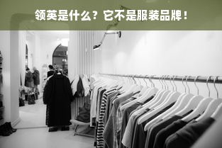 领英是什么？它不是服装品牌！