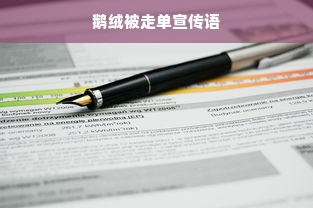 鹅绒被走单宣传语