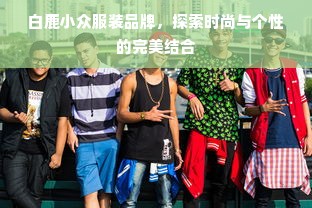 白鹿小众服装品牌，探索时尚与个性的完美结合