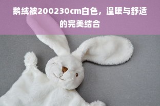 鹅绒被200230cm白色，温暖与舒适的完美结合