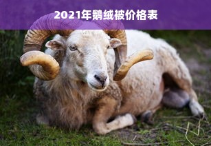 2021年鹅绒被价格表