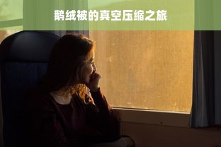 鹅绒被的真空压缩之旅