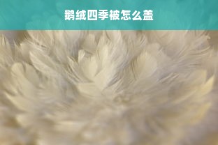 鹅绒四季被怎么盖