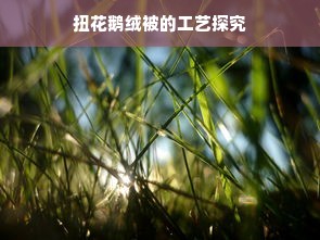 扭花鹅绒被的工艺探究