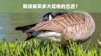 鹅绒被买多大规格的合适？