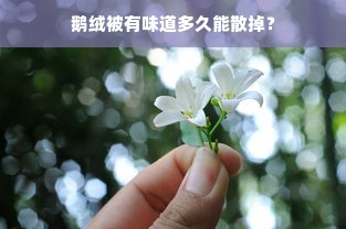 鹅绒被有味道多久能散掉？